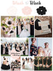 Black and Blush Wedding Color Palette