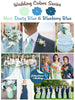Mint, Dusty Blue and Blueberry Blue Wedding Color Palette