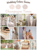 Champagne Tones Wedding Colors Palette