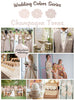 Champagne Tones Wedding Colors