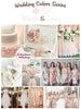 Blush and Ivory Wedding Color Palette