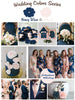 Navy Blue and Blush Wedding Color Palette