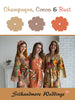 Champagne, Cocoa and Rust Wedding Color Palette